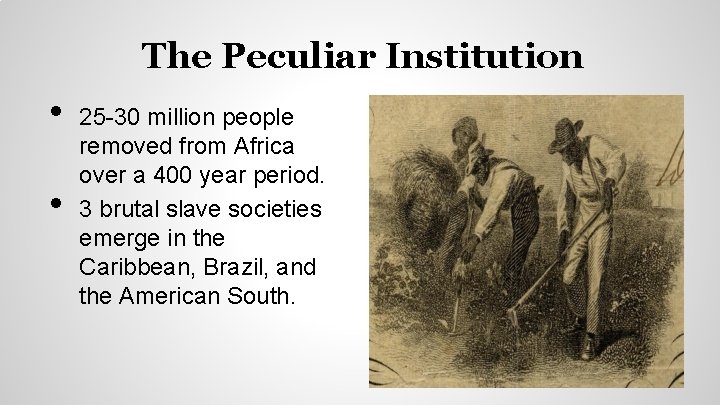 The Peculiar Institution • • 25 -30 million people removed from Africa over a