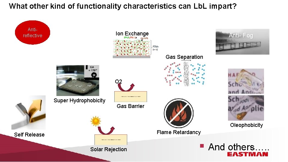What other kind of functionality characteristics can Lb. L impart? Antireflective Ion Exchange Anti-