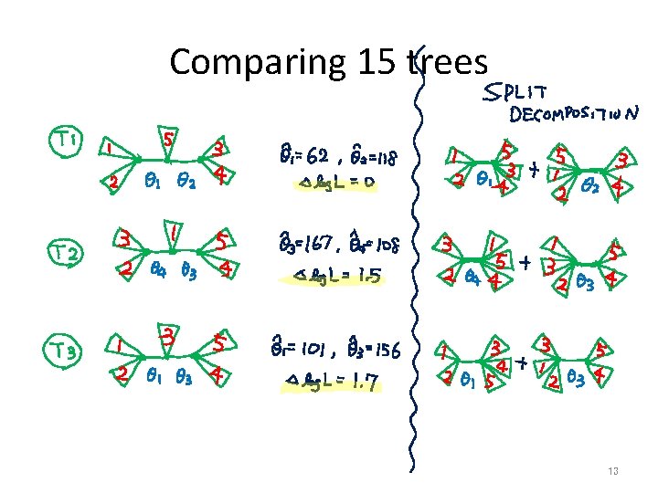 Comparing 15 trees 13 