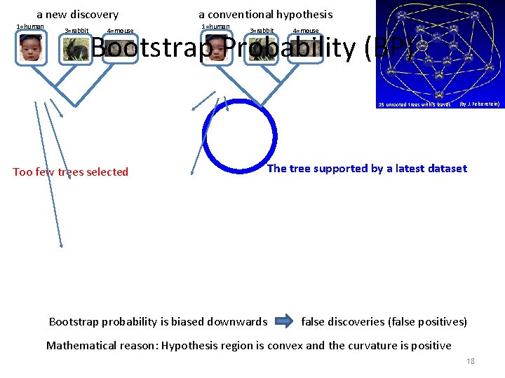 a new discovery 1=human 3=rabbit 4=mouse a conventional hypothesis 1=human 3=rabbit 4=mouse Bootstrap Probability