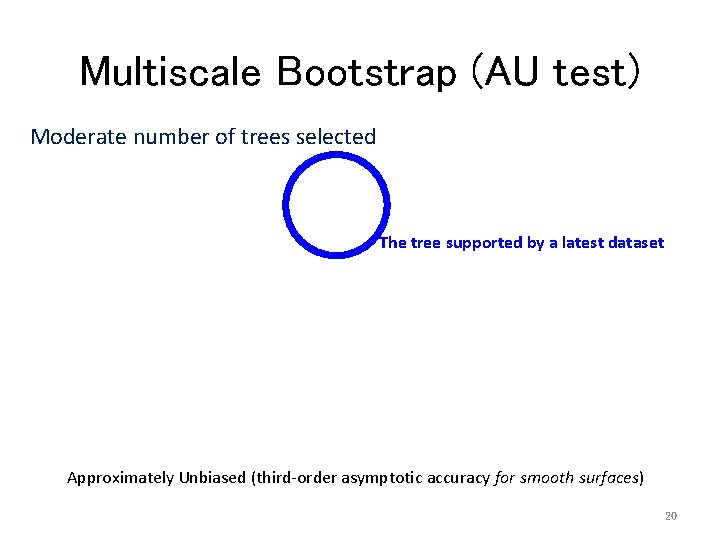 Multiscale Bootstrap (AU test) Moderate number of trees selected The tree supported by a