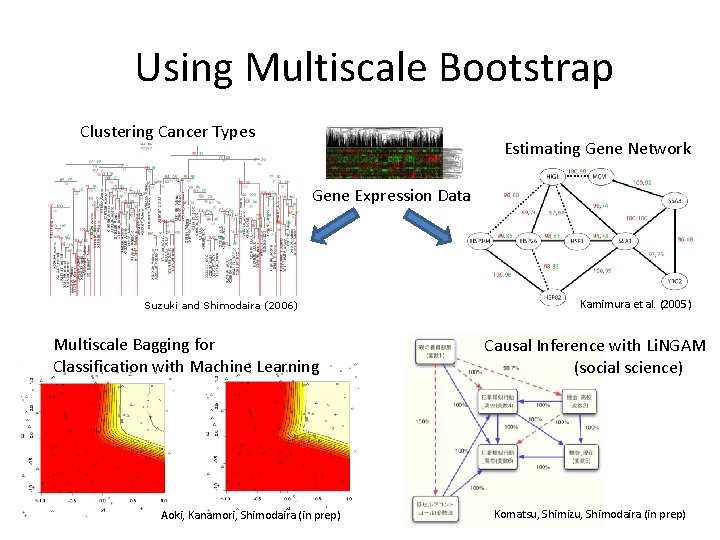 　Using Multiscale Bootstrap Clustering Cancer Types Estimating Gene Network Gene Expression Data Suzuki and