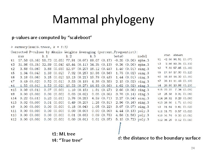 Mammal phylogeny p-values are computed by “scaleboot” t 1: ML tree t 4: “True