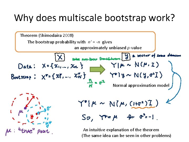 Why does multiscale bootstrap work? Theorem (Shimodaira 2008) The bootstrap probability with n’ =