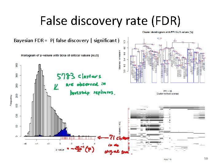 False discovery rate (FDR) Bayesian FDR = P( false discovery | significant ) 50