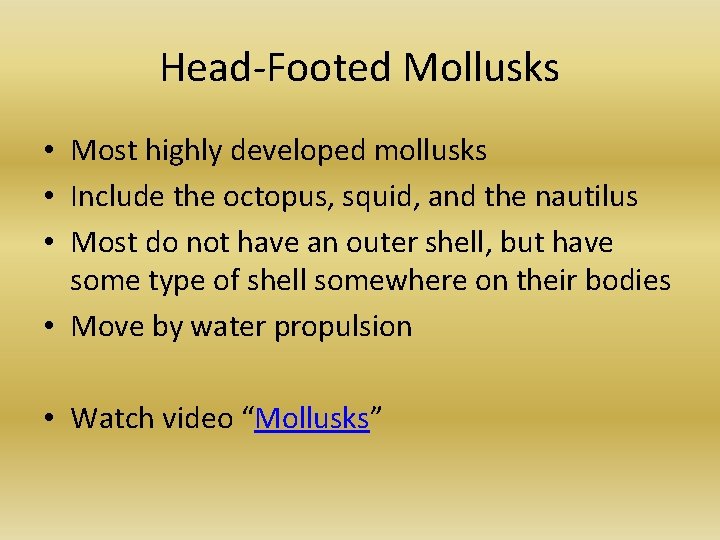 Head-Footed Mollusks • Most highly developed mollusks • Include the octopus, squid, and the