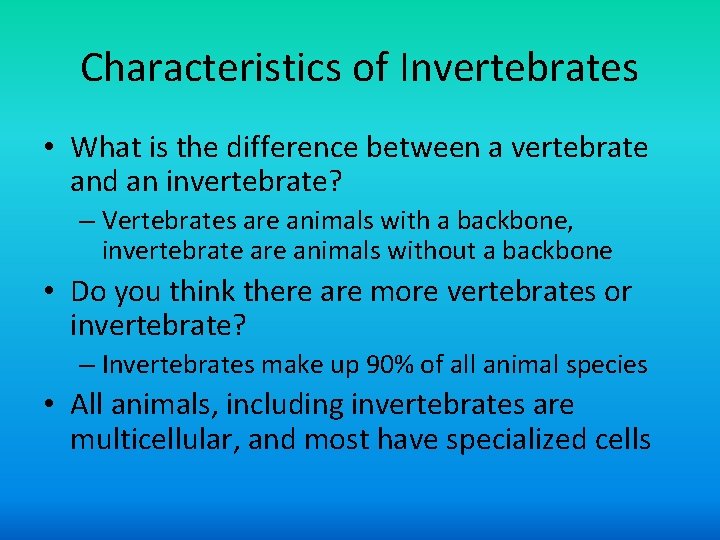 Characteristics of Invertebrates • What is the difference between a vertebrate and an invertebrate?