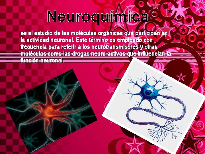 Neuroquímica es el estudio de las moléculas orgánicas que participan en la actividad neuronal.