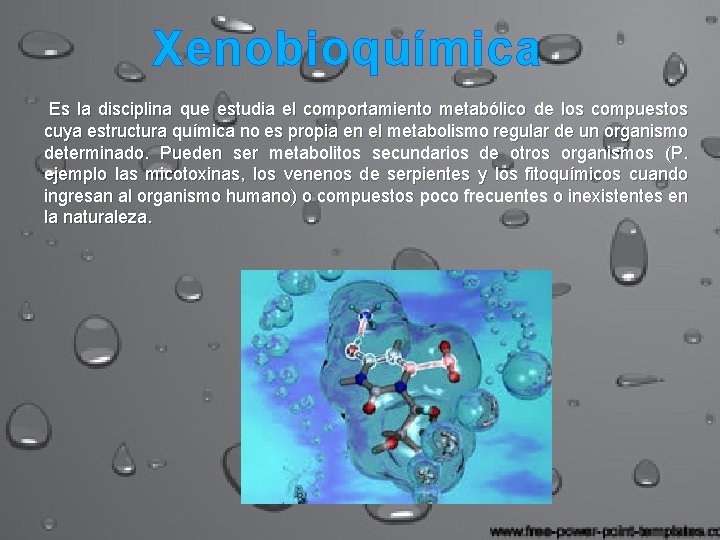 Xenobioquímica Es la disciplina que estudia el comportamiento metabólico de los compuestos cuya estructura