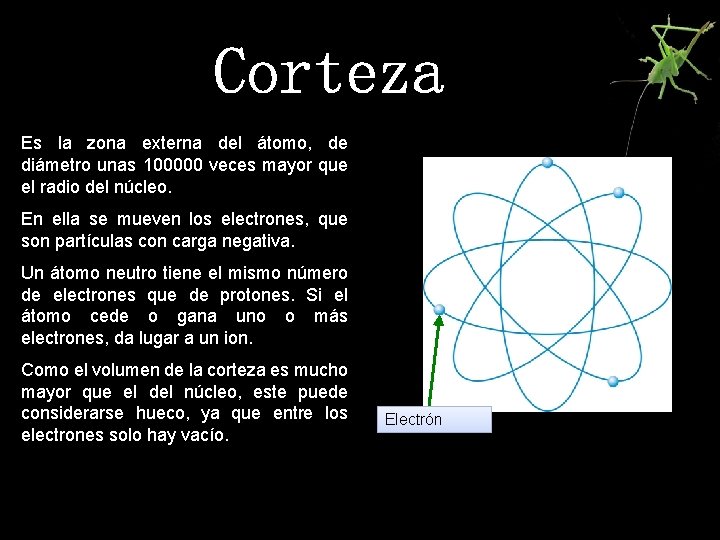 Corteza Es la zona externa del átomo, de diámetro unas 100000 veces mayor que