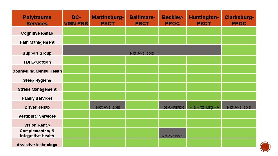 Polytrauma Services DCMartinsburg. VISN PNS PSCT Baltimore. PSCT Beckley. PPOC Huntington. PSCT Clarksburg. PPOC