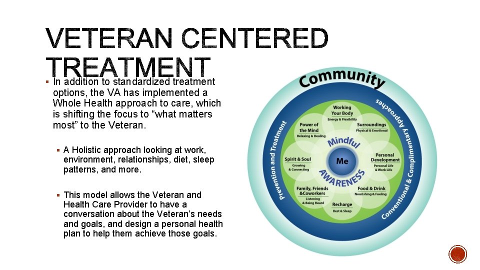§ In addition to standardized treatment options, the VA has implemented a Whole Health