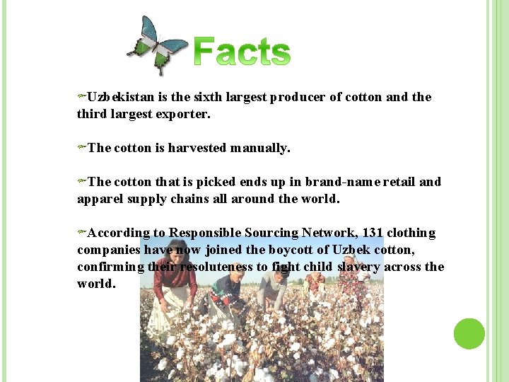 Uzbekistan is the sixth largest producer of cotton and the third largest exporter. The