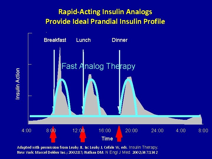 Rapid-Acting Insulin Analogs Provide Ideal Prandial Insulin Profile Breakfast Lunch Dinner Insulin Action Fast