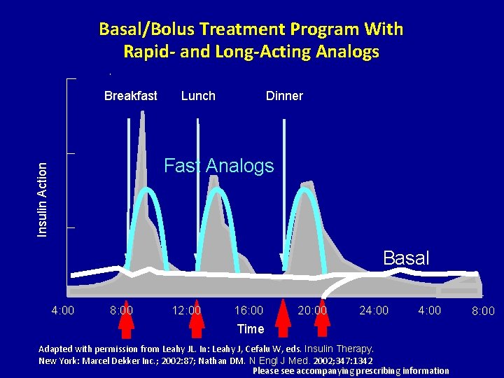 Basal/Bolus Treatment Program With Rapid- and Long-Acting Analogs Breakfast Lunch Dinner Insulin Action Fast