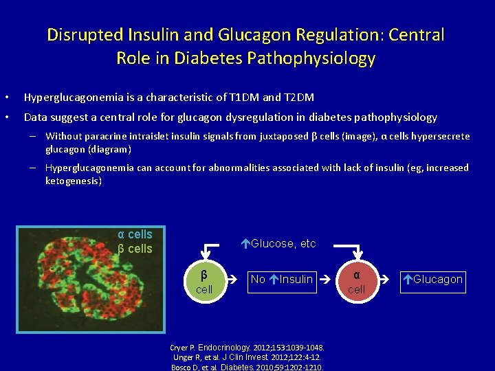 Disrupted Insulin and Glucagon Regulation: Central Role in Diabetes Pathophysiology • Hyperglucagonemia is a
