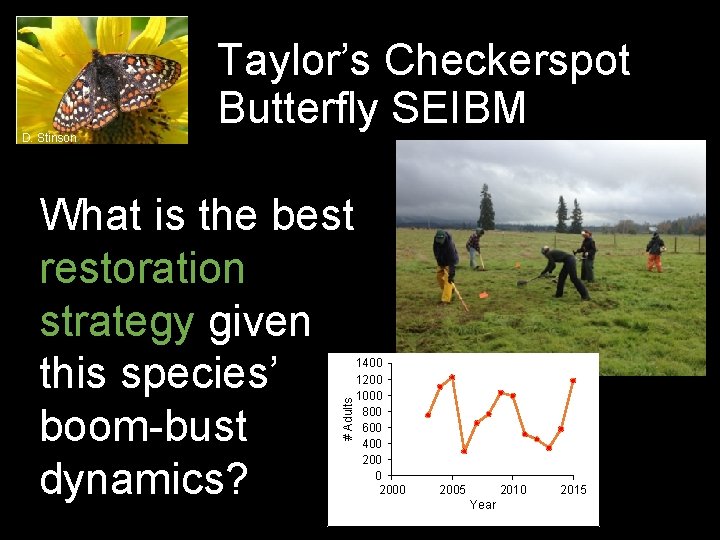D. Stinson Taylor’s Checkerspot Butterfly SEIBM # Adults What is the best restoration strategy