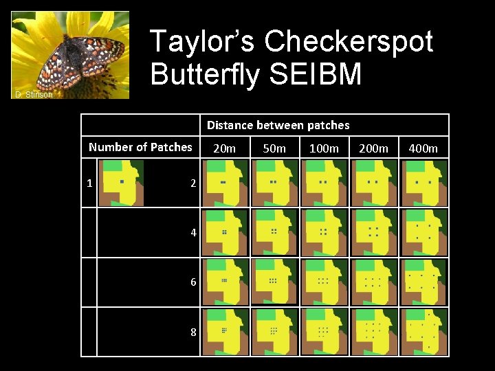 Taylor’s Checkerspot Butterfly SEIBM D. Stinson Distance between patches Number of Patches 1 2