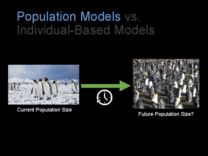 Population Models vs. Individual-Based Models Current Population Size Future Population Size? 