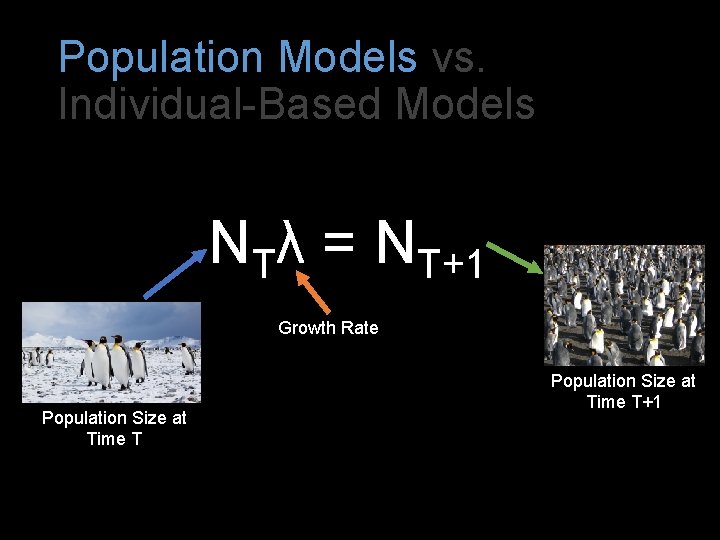 Population Models vs. Individual-Based Models NTλ = NT+1 Growth Rate Population Size at Time
