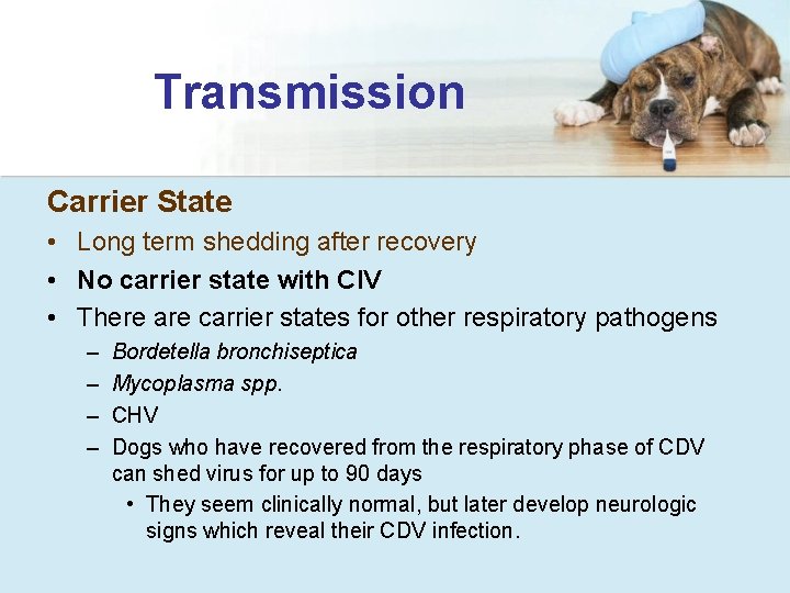 Transmission Carrier State • Long term shedding after recovery • No carrier state with