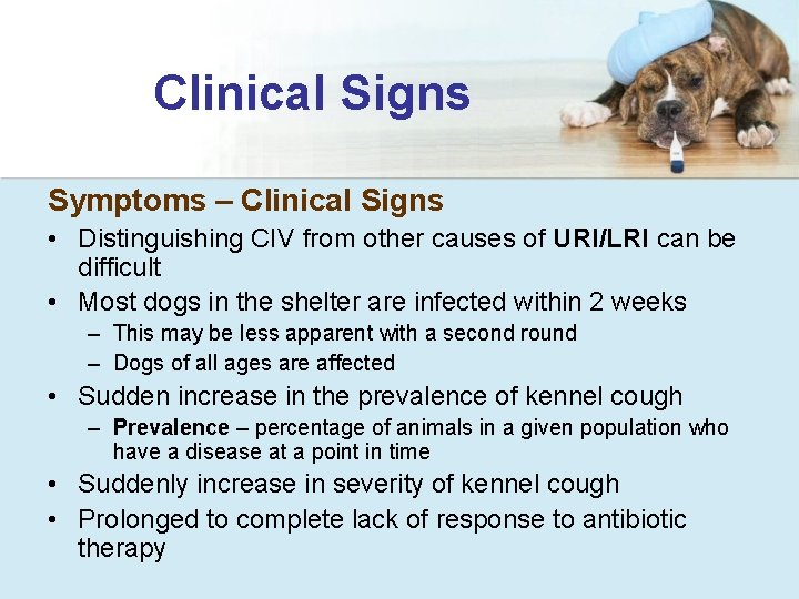 Clinical Signs Symptoms – Clinical Signs • Distinguishing CIV from other causes of URI/LRI