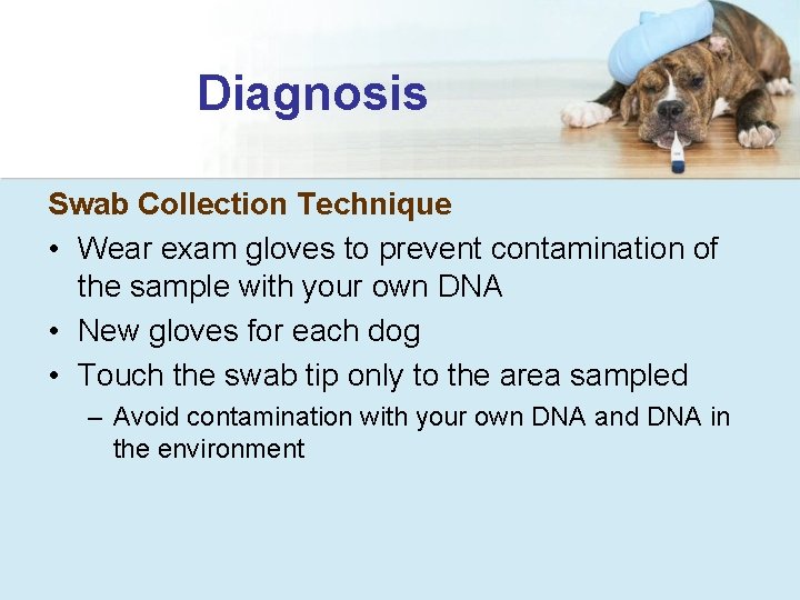 Diagnosis Swab Collection Technique • Wear exam gloves to prevent contamination of the sample