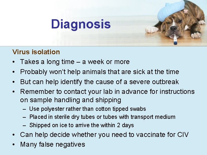 Diagnosis Virus isolation • Takes a long time – a week or more •