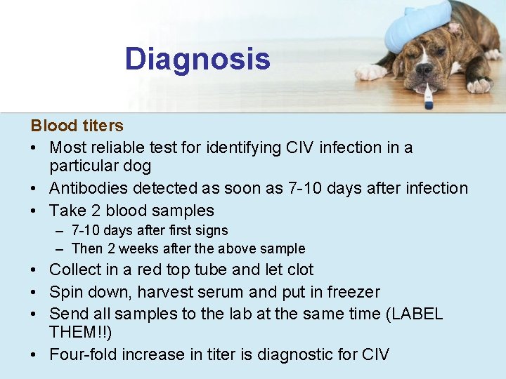 Diagnosis Blood titers • Most reliable test for identifying CIV infection in a particular