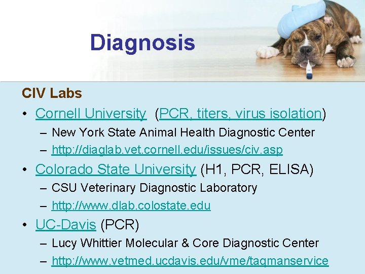 Diagnosis CIV Labs • Cornell University (PCR, titers, virus isolation) – New York State