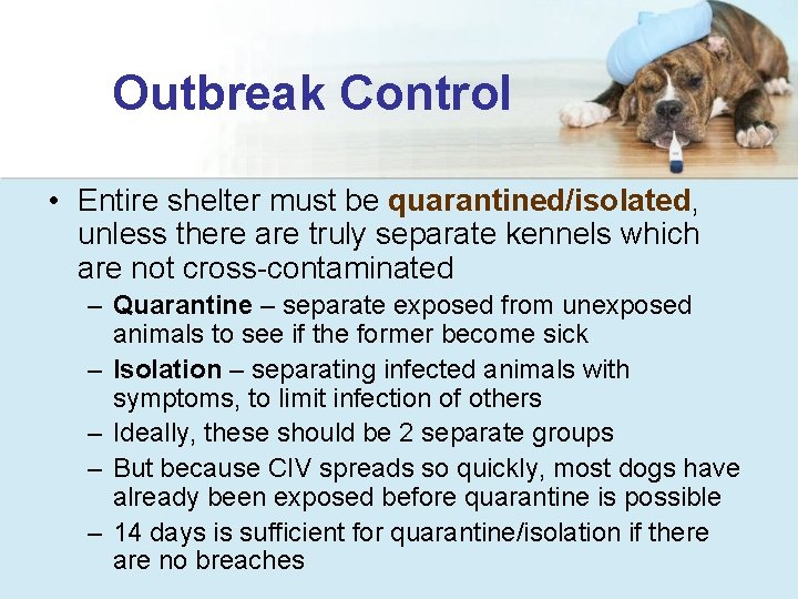 Outbreak Control • Entire shelter must be quarantined/isolated, unless there are truly separate kennels