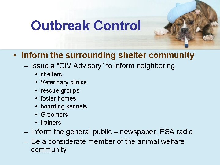 Outbreak Control • Inform the surrounding shelter community – Issue a “CIV Advisory” to