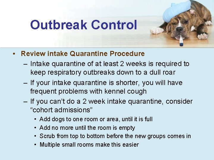 Outbreak Control • Review intake Quarantine Procedure – Intake quarantine of at least 2