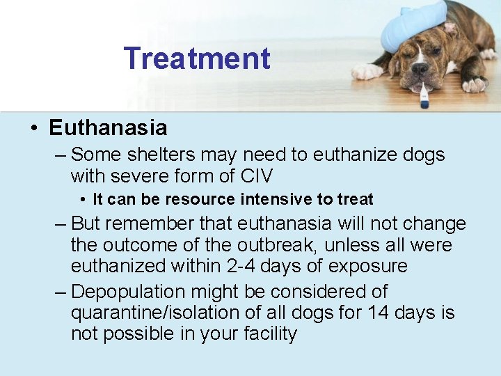 Treatment • Euthanasia – Some shelters may need to euthanize dogs with severe form