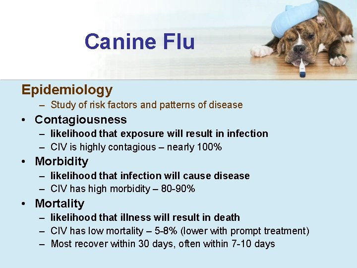 Canine Flu Epidemiology – Study of risk factors and patterns of disease • Contagiousness