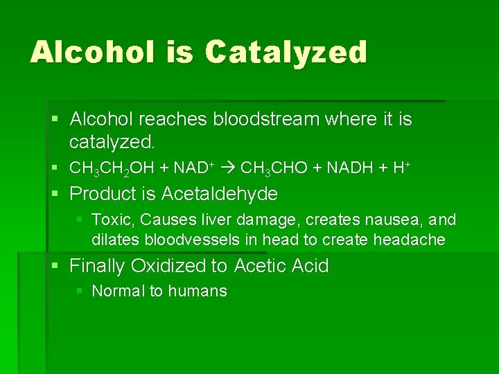 Alcohol is Catalyzed § Alcohol reaches bloodstream where it is catalyzed. § CH 3