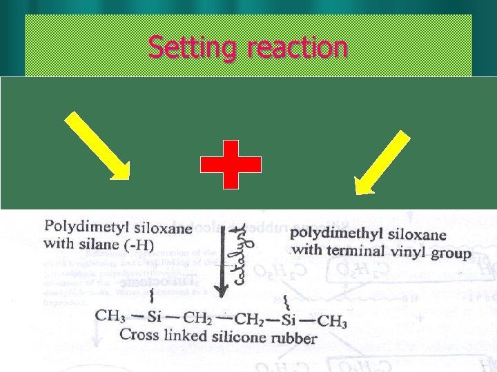 Setting reaction Elastomeric impression materials Prof. Dr. Manal A. Elebiary 