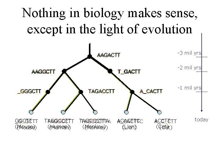 Nothing in biology makes sense, except in the light of evolution -3 mil yrs