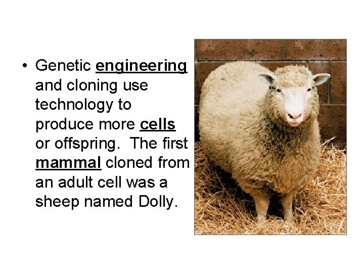  • Genetic engineering and cloning use technology to produce more cells or offspring.