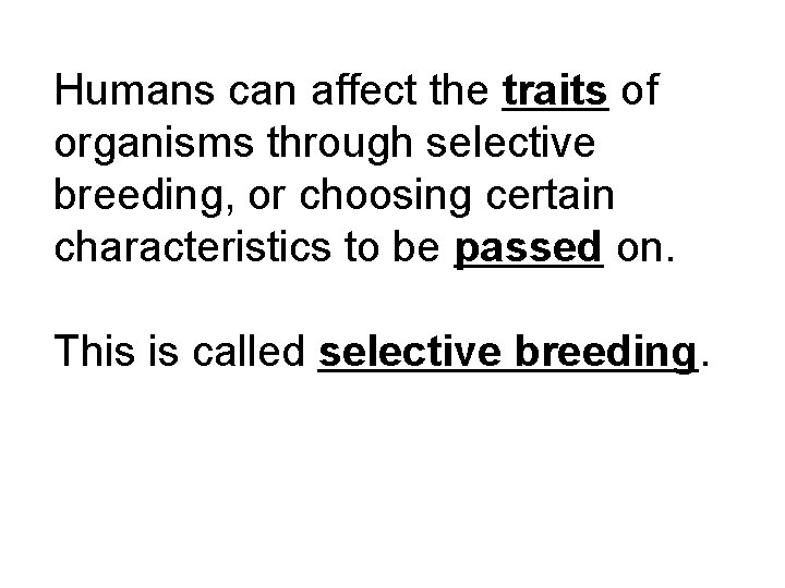 Humans can affect the traits of organisms through selective breeding, or choosing certain characteristics