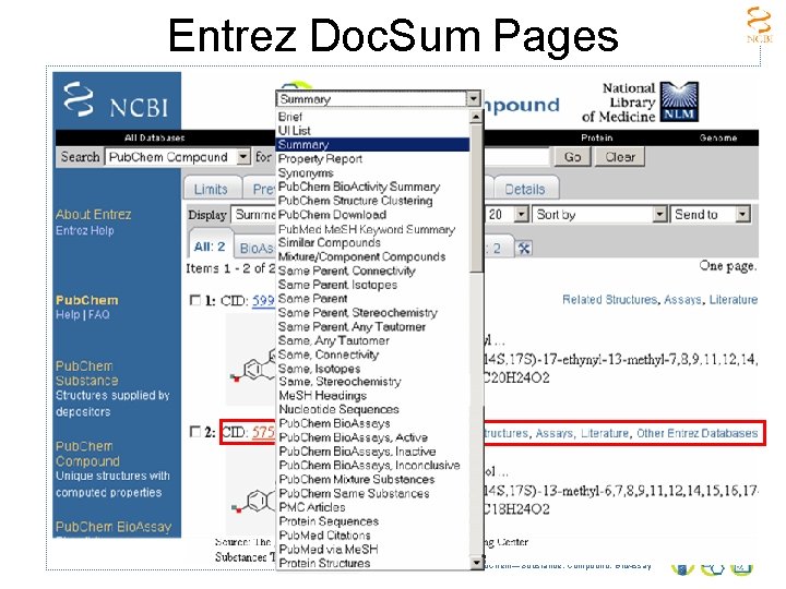 Entrez Doc. Sum Pages Pub. Chem—Substance, Compound, Bio. Assay 