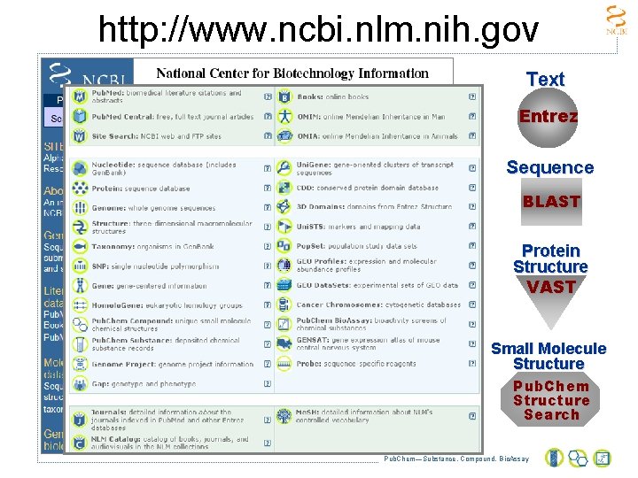 http: //www. ncbi. nlm. nih. gov Text Entrez Sequence BLAST Protein Structure VAST Small