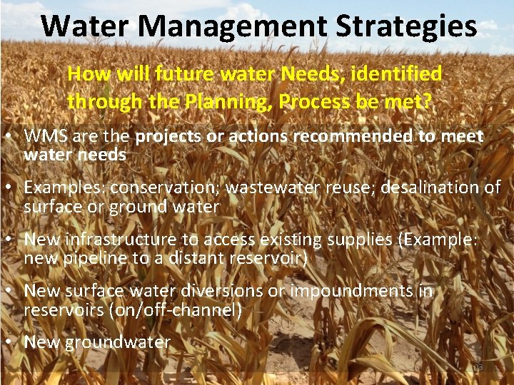 Texas Water Development Board and the State Water