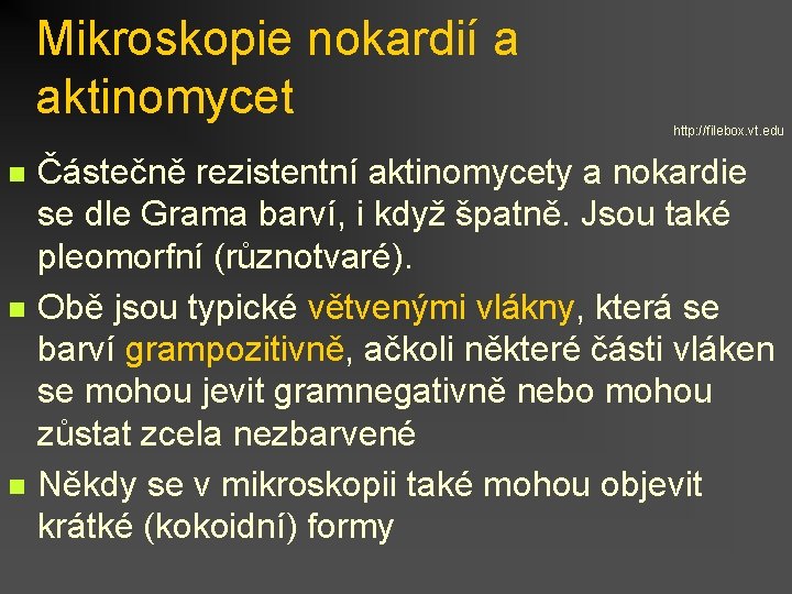 Mikroskopie nokardií a aktinomycet n n n http: //filebox. vt. edu Částečně rezistentní aktinomycety
