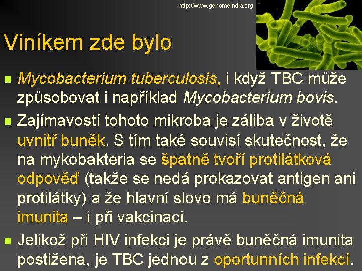 http: //www. genomeindia. org Viníkem zde bylo n n n Mycobacterium tuberculosis, i když