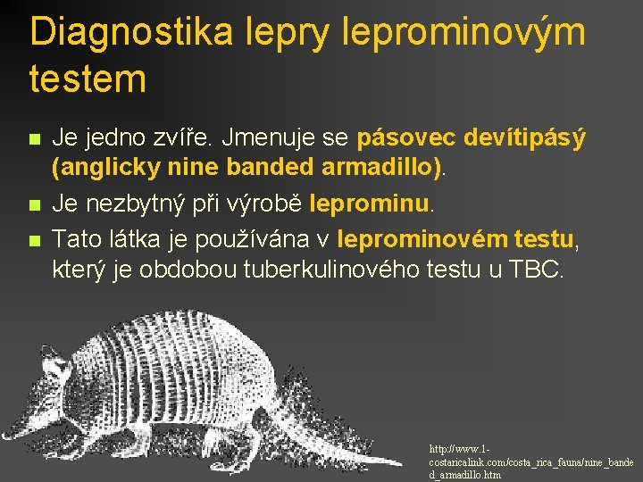 Diagnostika lepry leprominovým testem n n n Je jedno zvíře. Jmenuje se pásovec devítipásý