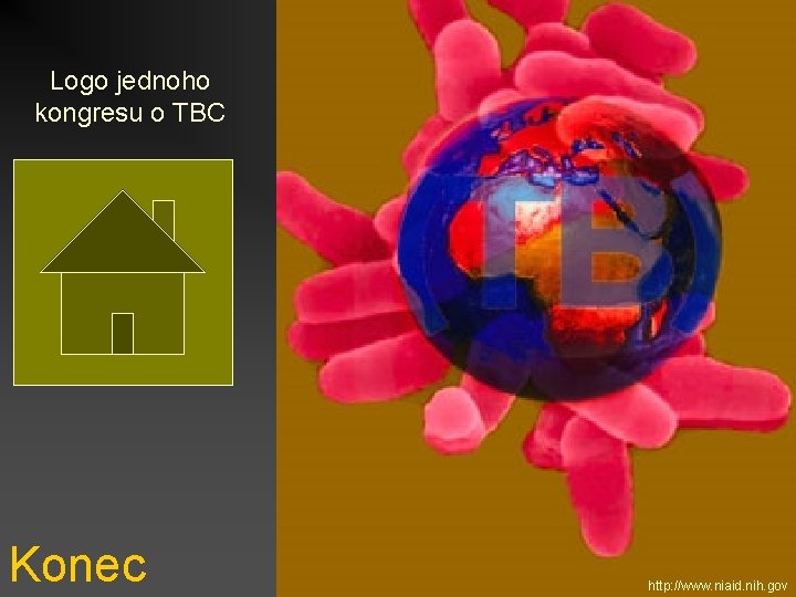 Logo jednoho kongresu o TBC Konec http: //www. niaid. nih. gov 