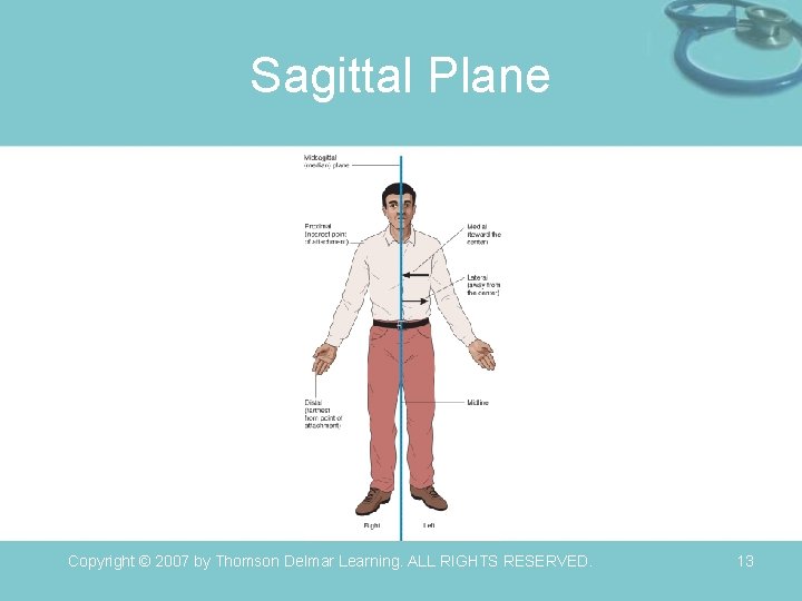 Sagittal Plane Copyright © 2007 by Thomson Delmar Learning. ALL RIGHTS RESERVED. 13 