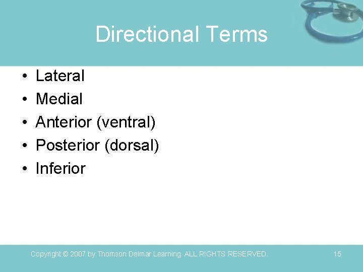 Directional Terms • • • Lateral Medial Anterior (ventral) Posterior (dorsal) Inferior Copyright ©