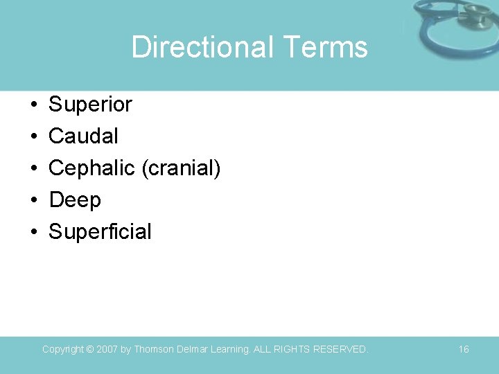 Directional Terms • • • Superior Caudal Cephalic (cranial) Deep Superficial Copyright © 2007